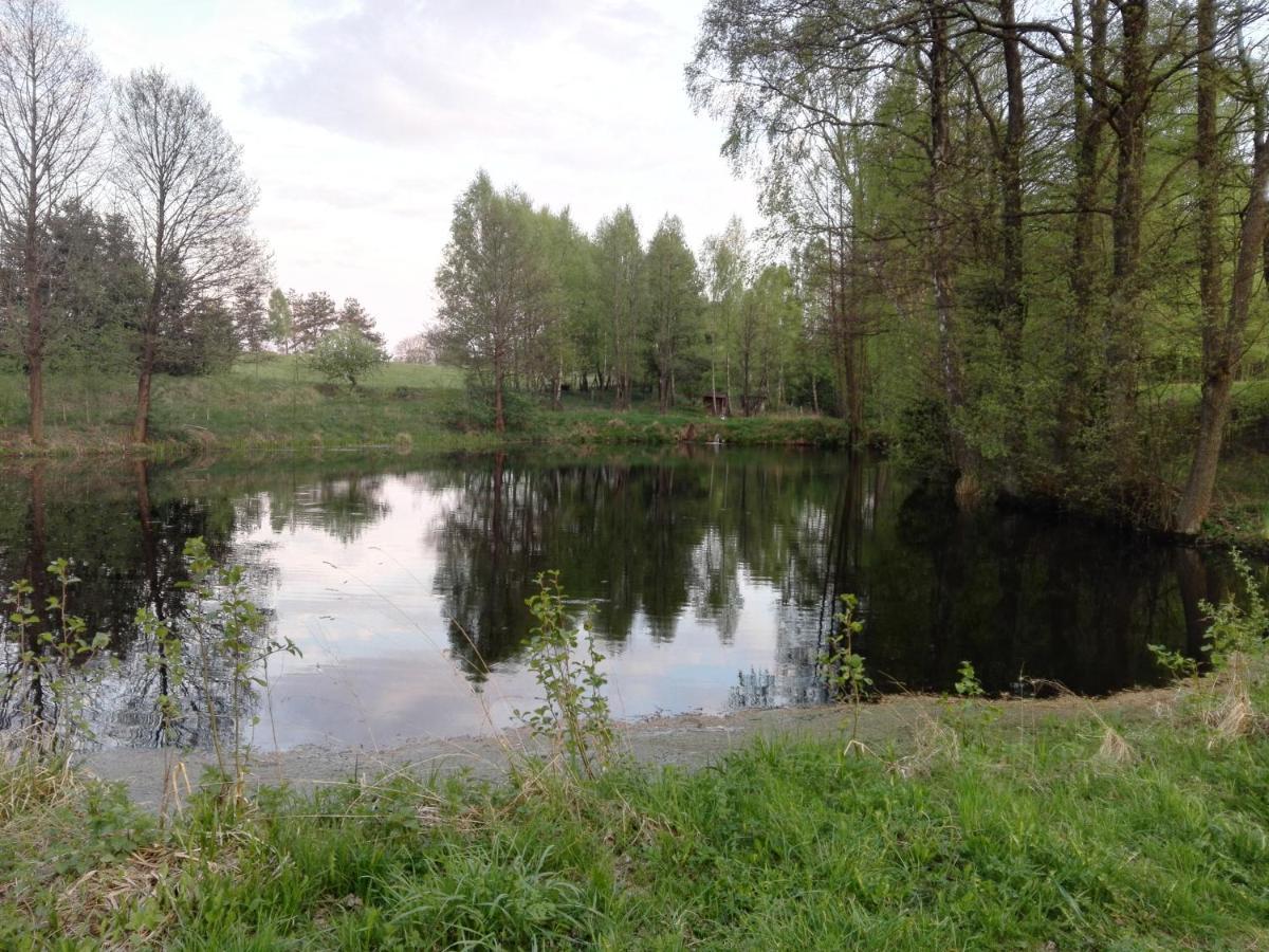 Kaszubska Dolina Pieciu Stawow Villa Wiele Kültér fotó